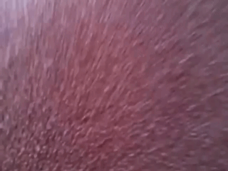 iyjjMzMLQw5T