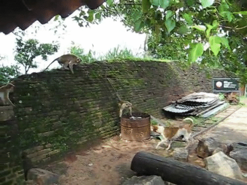 1390744645_1054458492