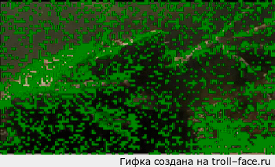 Суринамская жаба