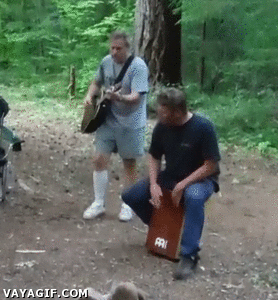 -летучая-мышь-1790911