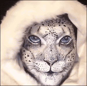 gif-body-art-1791918