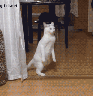 gif-15102014-001