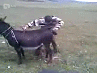 хачи
