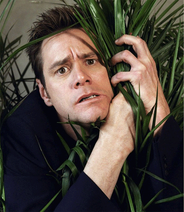 1323347581_ss копия