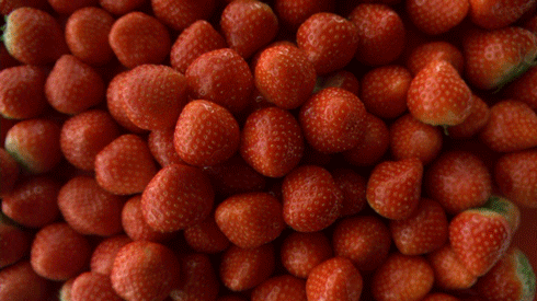 клубника 3
