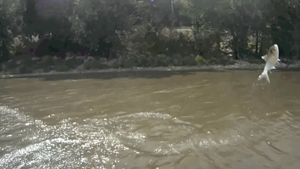 1421781244-46a56d35a3efc25cee9185d57f6a094d