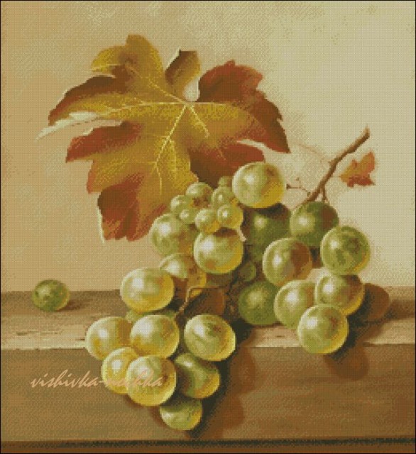 Vinograd