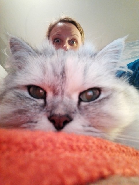 IMG_20141225_232056[1]