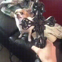 1422354278_460592177