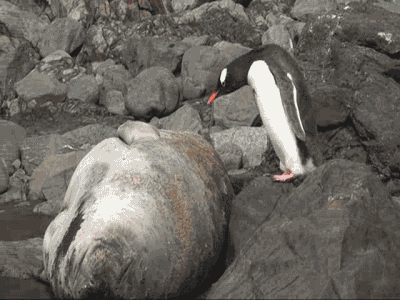 1371702958_1333632104