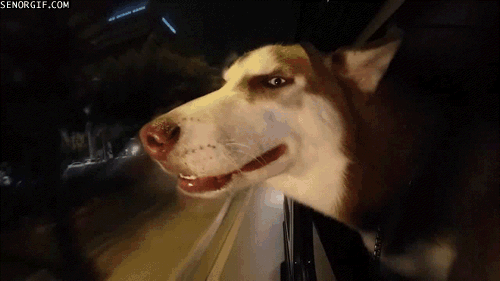 h56BDF9E6_yapfiles.ru