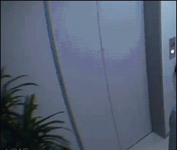 1422786809_1174926315