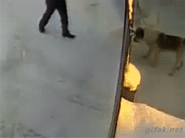 tumblr_njamz8Md5c1rnma1do1_400