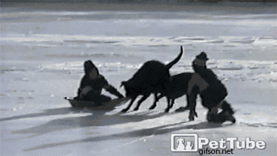 tumblr_njdg1l7PfJ1rnma1do1_400