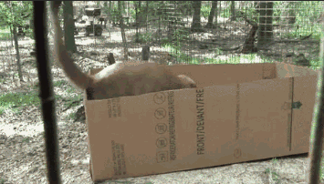 1423296841_2114355093