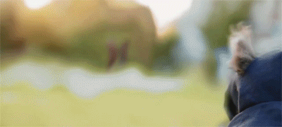 tumblr_ncqmwkO1Ng1r3gb3zo1_400