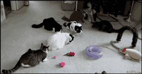 tumblr_niw9cn5AKX1tyncywo1_400