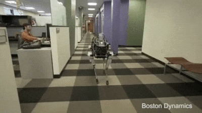 электроишак