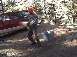 Премия дарвина