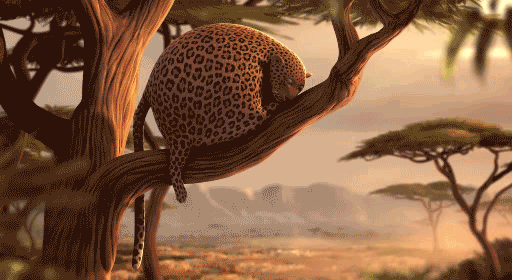 ff57214babf066ebdae028a0488