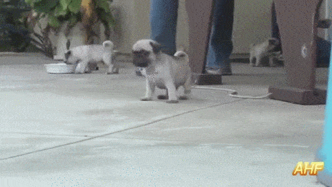 81cd9b80bb2c15660d5dc69c27a