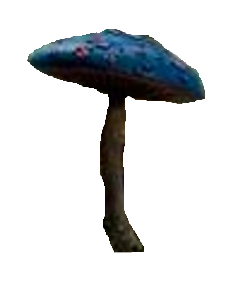 1_alice_in_wonderland_an_adventure_beyond_the_mirror