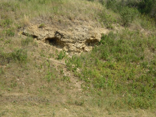 Задонск  курган  чудище