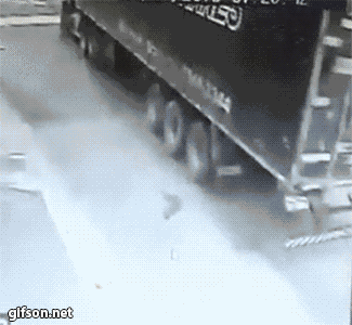 пойдём домой, малыш