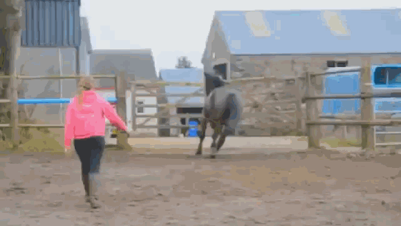 cm_20150213_4992_008