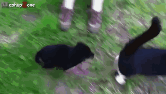 1b915cec3cfe3412490048b8579