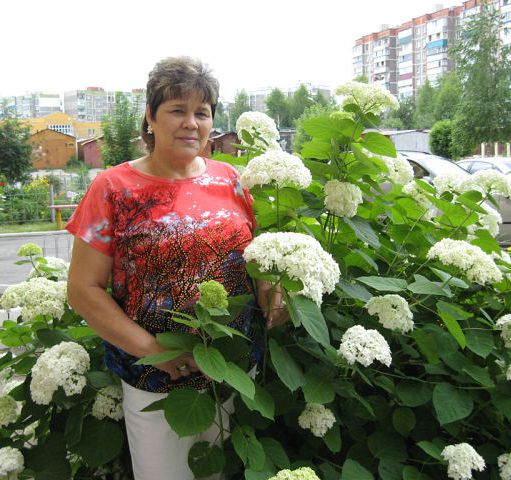 Нелли