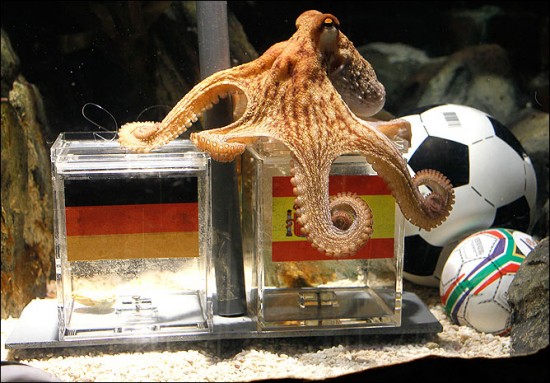 538344_b1278411735352901117