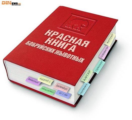 red_book_of_bobruisk