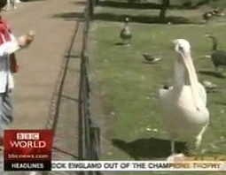 1421229166-cf9832de9211c4de03eb2239b9ae8807