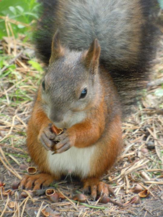 310664_159321910816280_648946_n