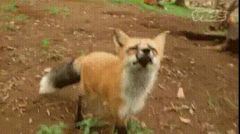 1425148765_451531005