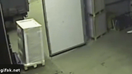 tumblr_ng7u1yfN0C1s2yegdo1_500