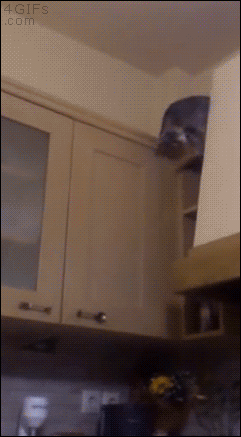 -ниндзя-гифки-1911012