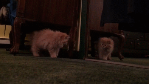 1385712595_1249632981