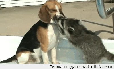 1425369135-166e1b2b71d413403068542e6155ecd1