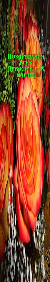 getImage (1)_170x960