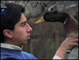 ГГГГГГГГГГГГГГГГГ