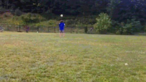 1426054690_205269853