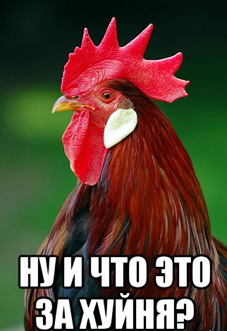 petuh_22012985_orig_