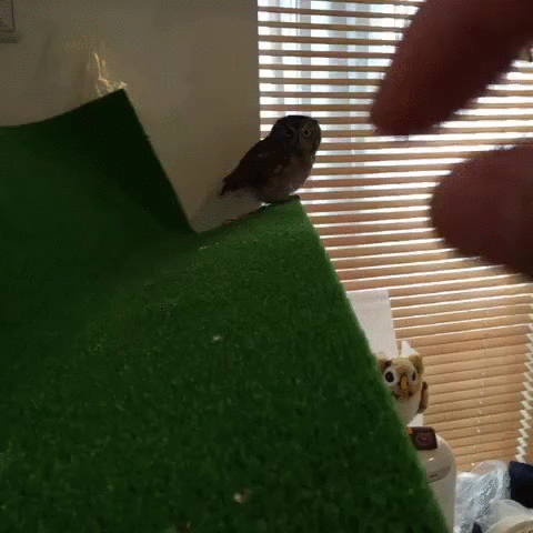 1426447290-3c1dc8c25b92c773956ee57aff481c8f