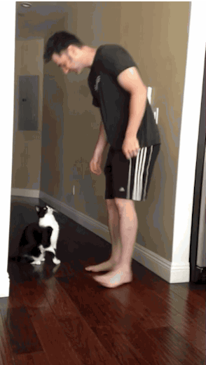 654