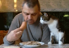 866379cecc01c3c5ac109ae32e7