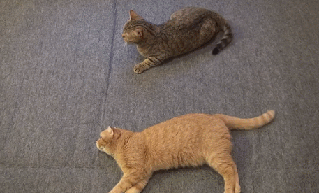 b599ca1b8d60037f26e9da2317f