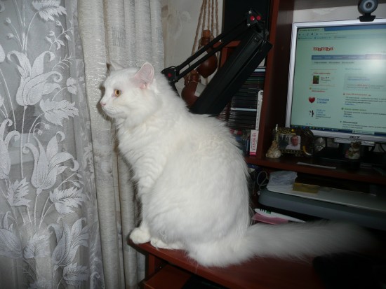 что там на улице