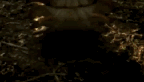 4740904f9bbf7c3bc8ab7aa31c748c2c